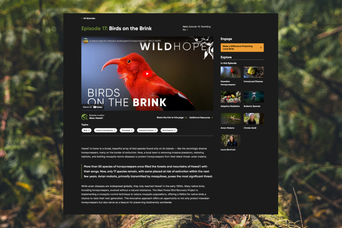 Inspiring Hope Through Stories of Conservation reveal image